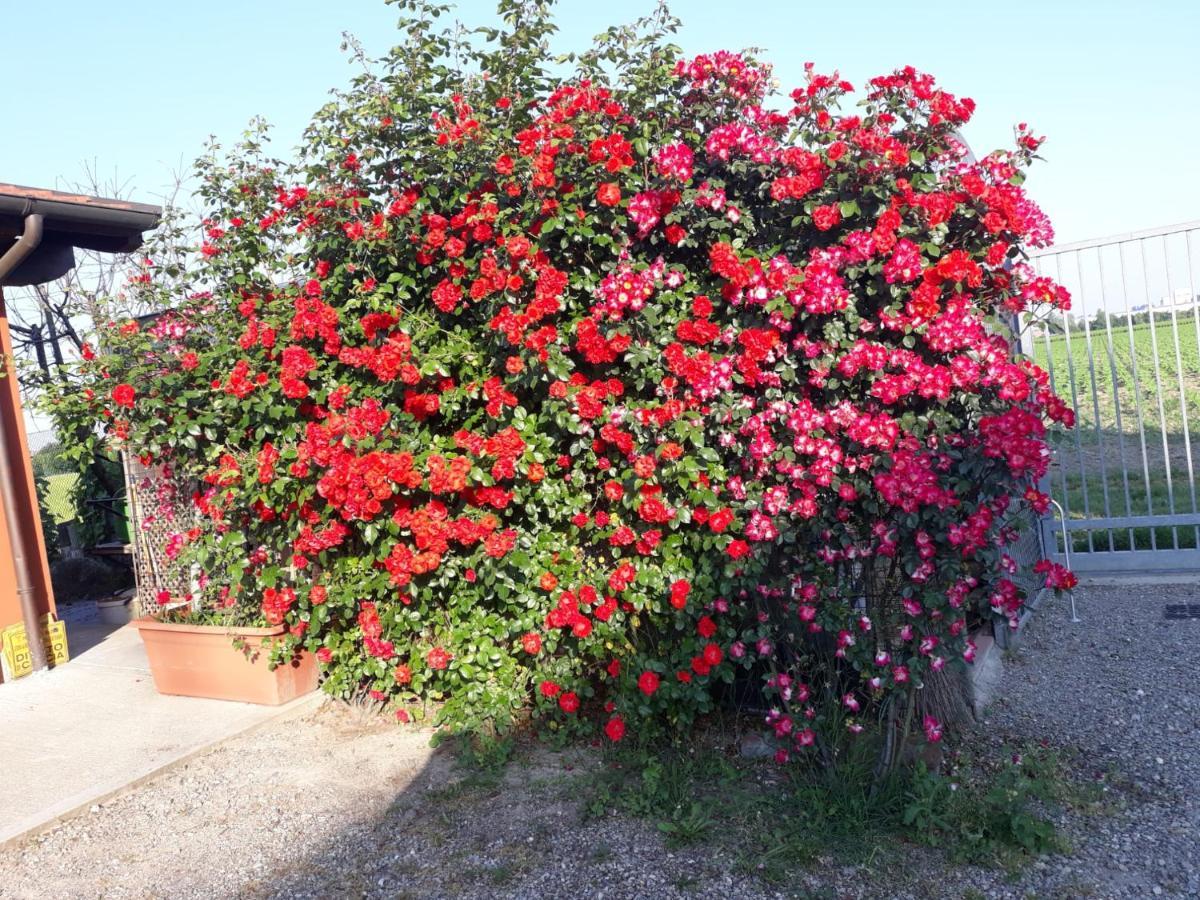 Al Sit Ed Marino Bed & Breakfast Castel Maggiore Exterior photo